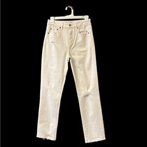 Daze Denim Daily Driver High Rise Skinny Straight Jeans